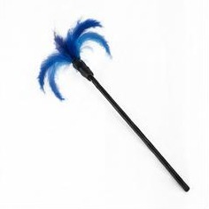 Feather Wand Toy